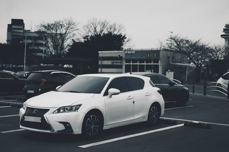 Toyota Mega Cruiser 완벽 가이드