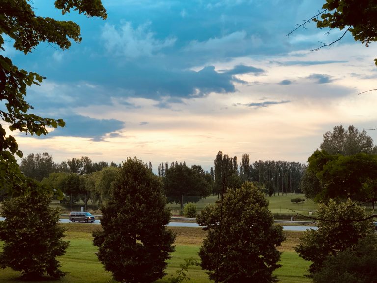 Chevrolet Van 상세 분석